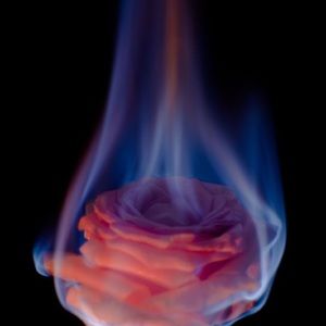 Meet your Posher, Lesley